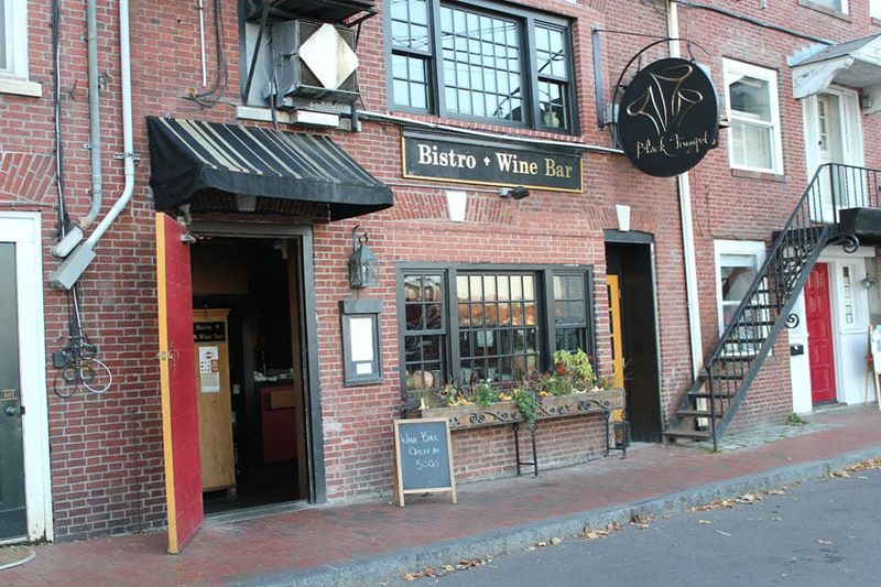 Black Trumpet - New Hampshire