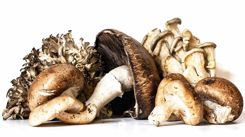 Different mushrooms cook differently