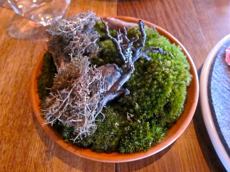 Noma — Reindeer Moss with Cep Powder