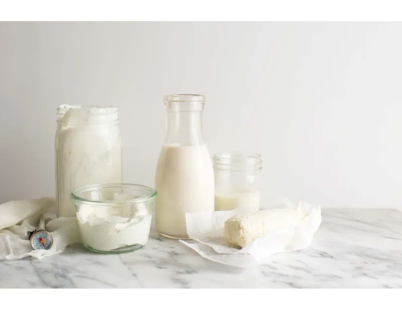 Goat and sheep dairy (milk, yogurt like preparations, cheese)