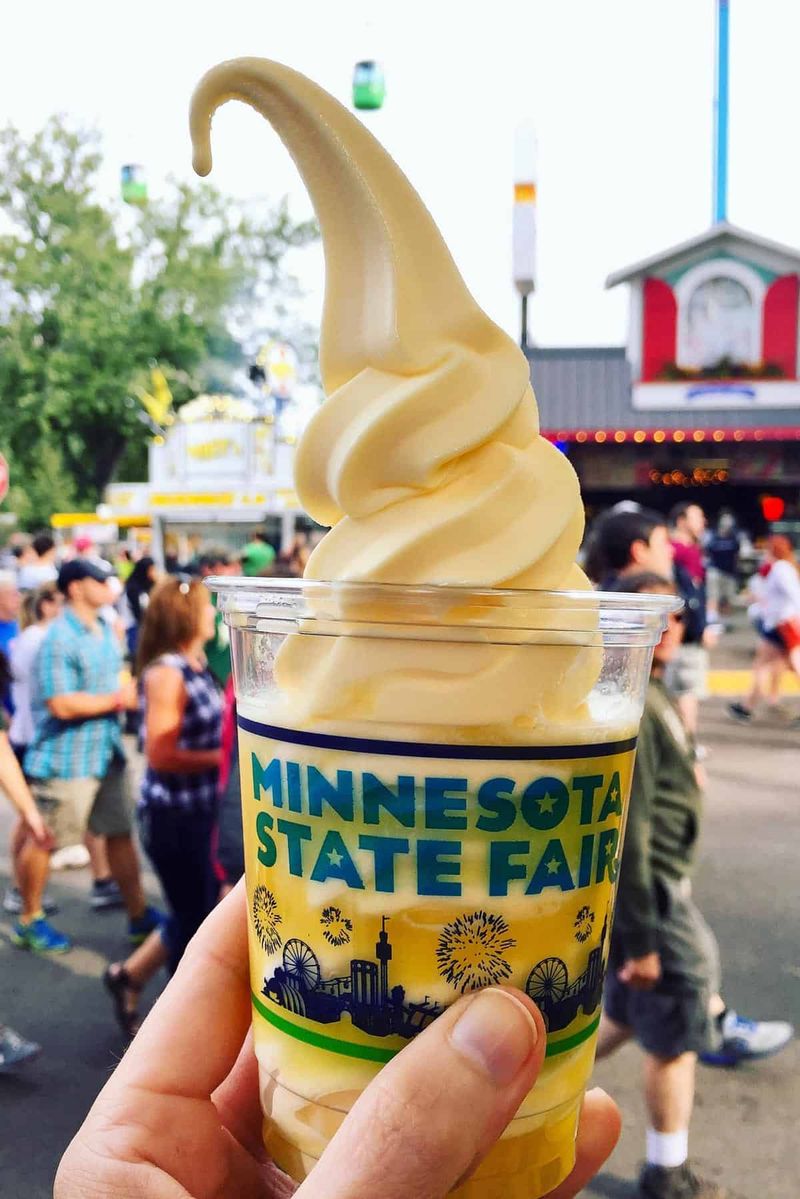 Minnesota State Fair