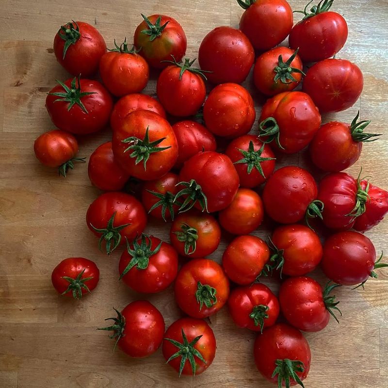 Cooking Enhances Lycopene Absorption