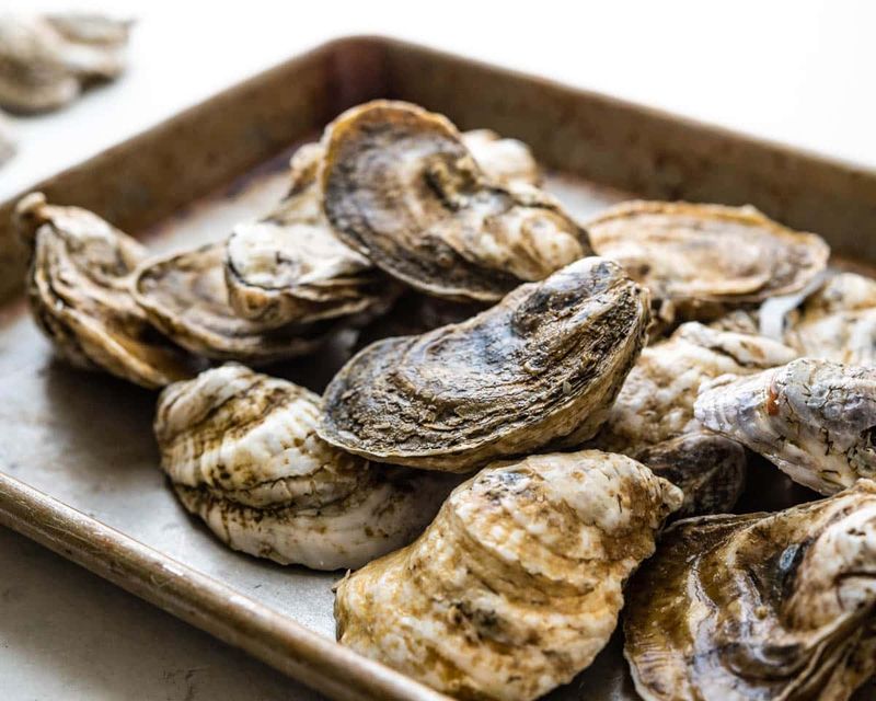 Oysters on the half shell