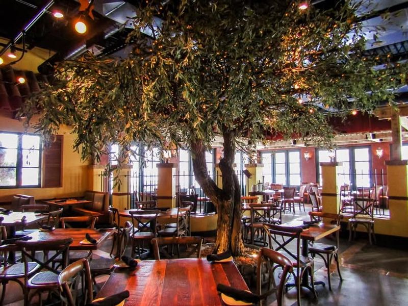 Bella Notte (Kentucky)