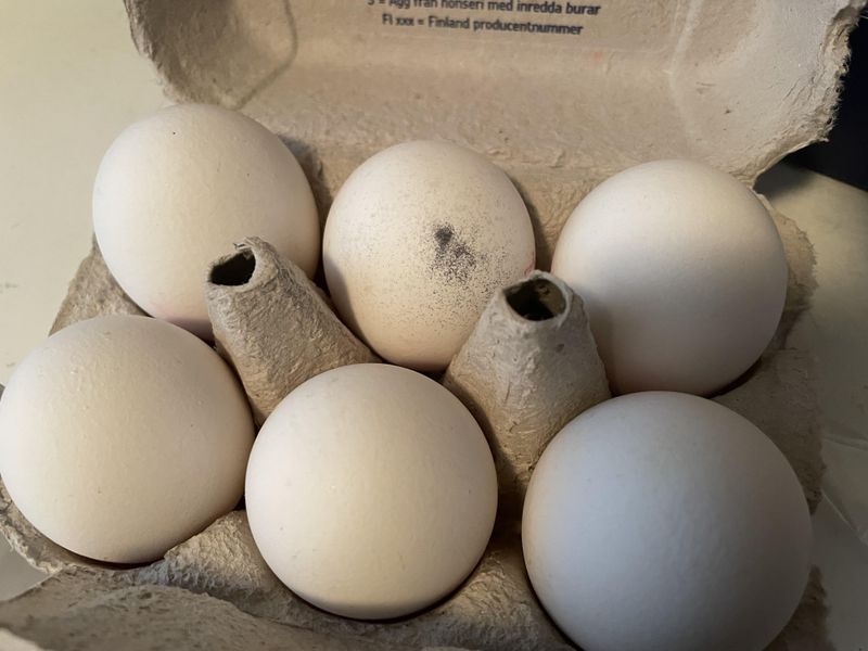 Moldy carton or damp storage