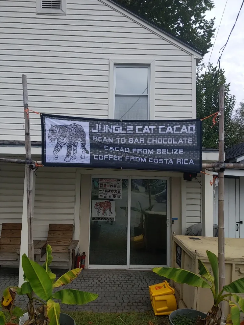 Jungle Cat Cacao - Wilmington