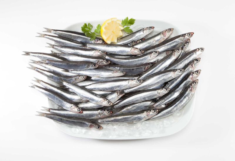 Anchovies