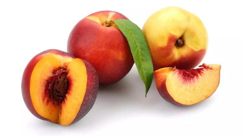 Nectarines