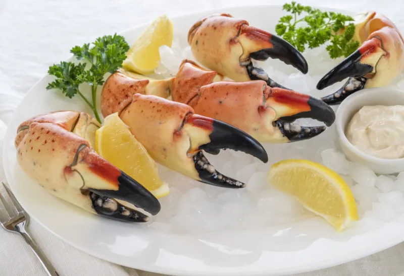 Stone Crab Claws (Tourist Splurge)