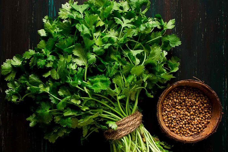 Cilantro (U.S.) vs coriander (U.K.)