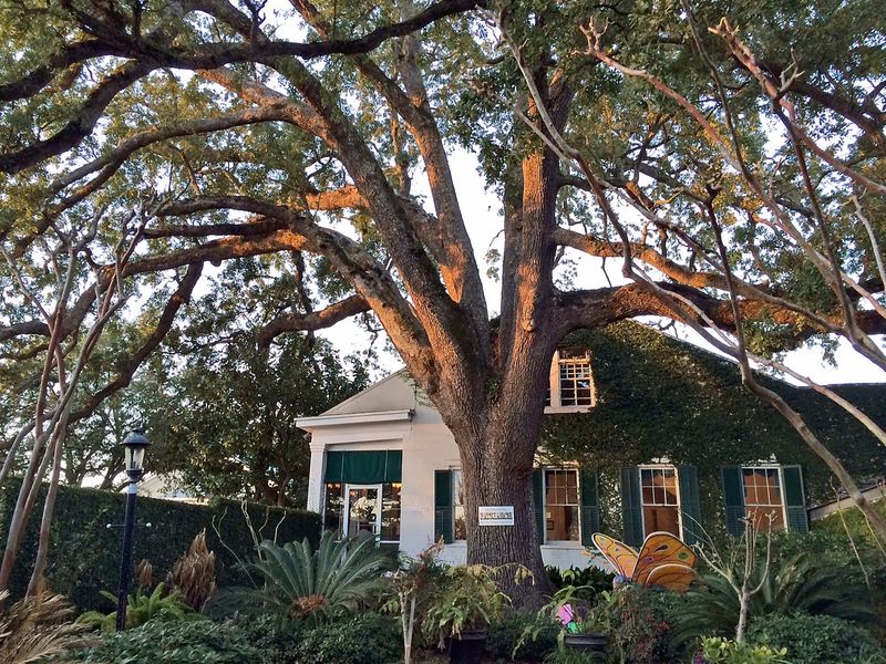 Mary Mahoney's Old French House (Mississippi)