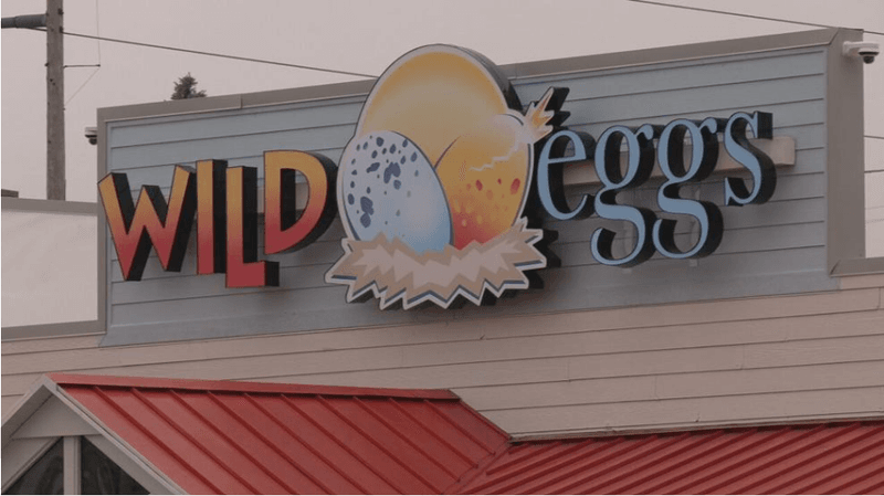 Wild Eggs