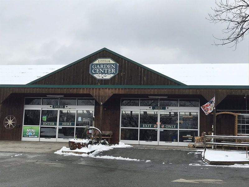 Linvilla Orchards - Media (Unbeatable Winner)