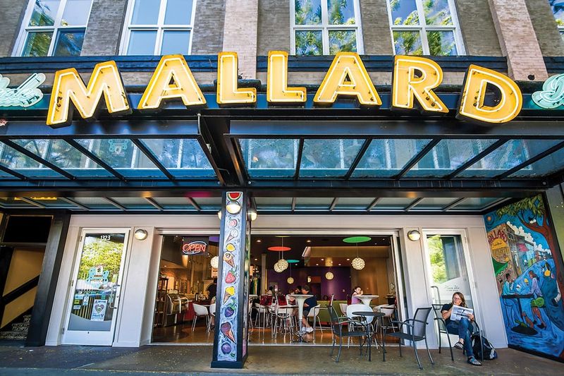 Mallard Ice Cream