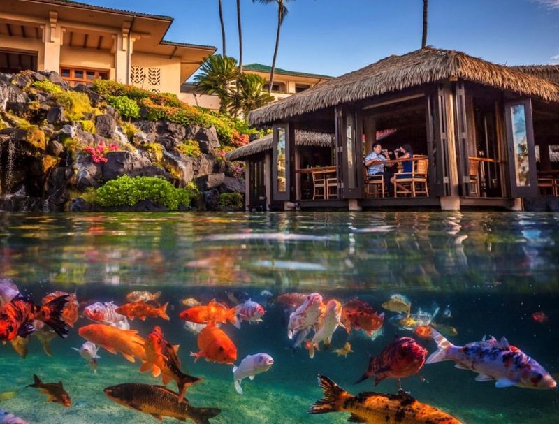 Tidepools (Grand Hyatt Kauai Resort & Spa)