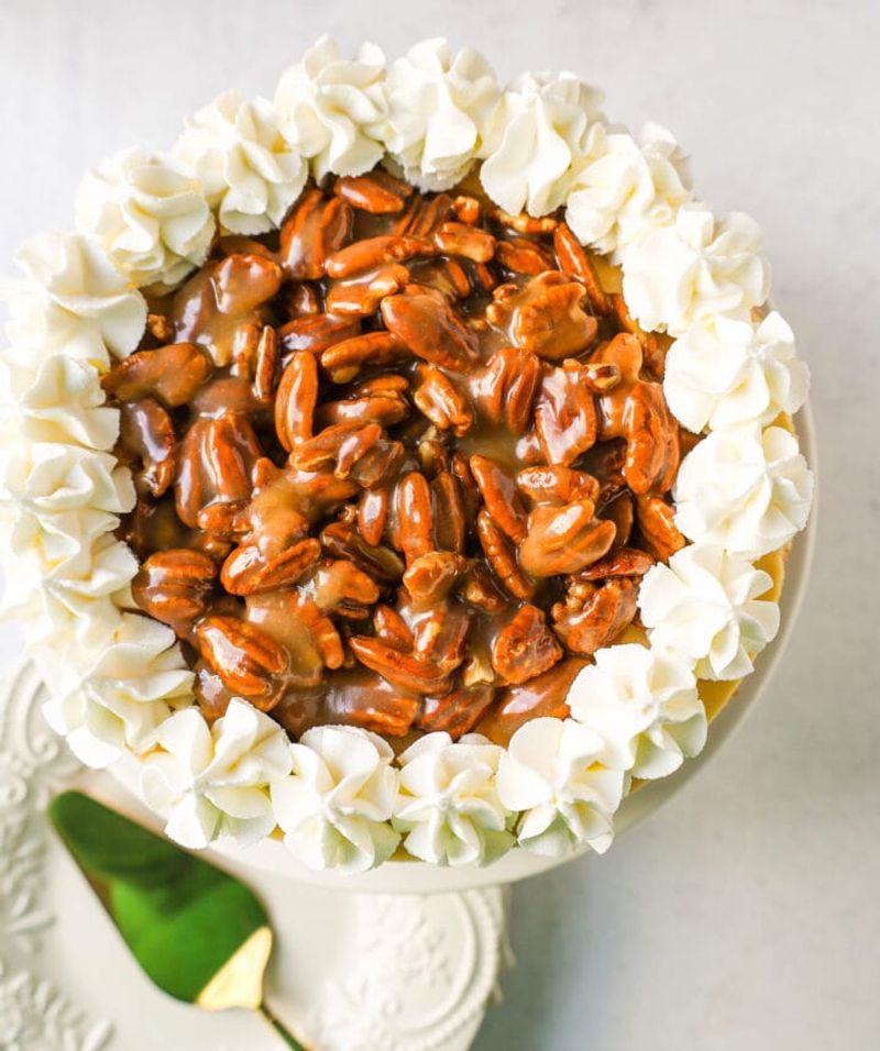 Praline Pecan Cheesecake (South Carolina)