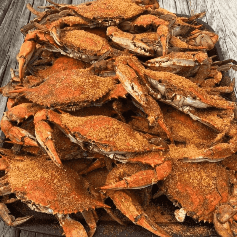 Maryland Blue Crabs: The Star Attraction