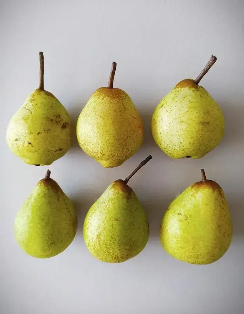 Pears