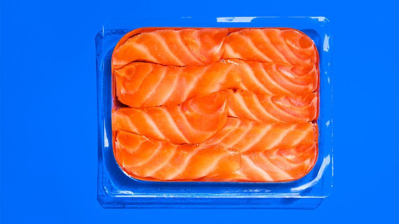 Salmon