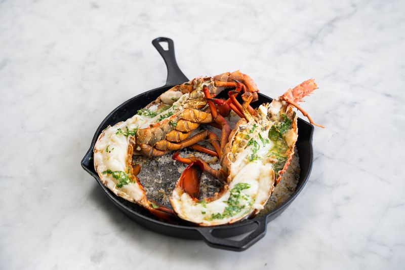 Australian rock lobster