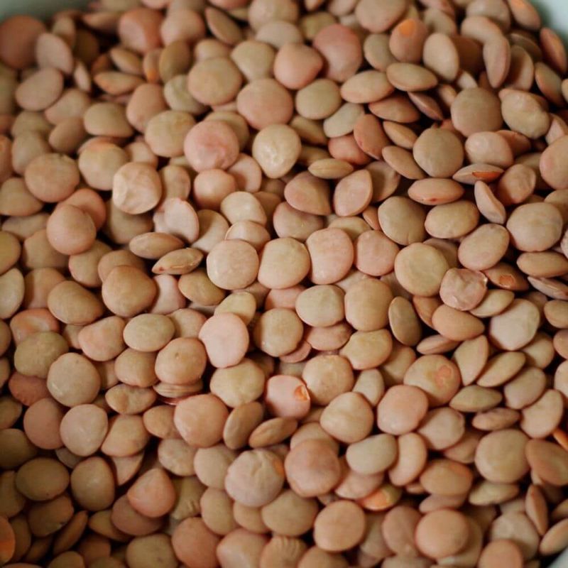 Lentils