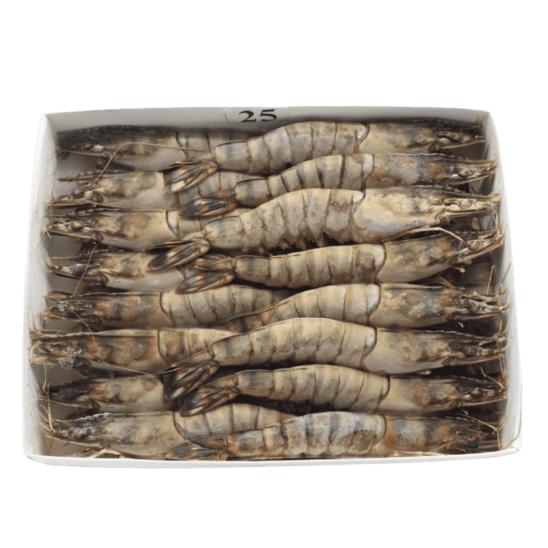 Black Tiger Shrimp, Raw, 16/20