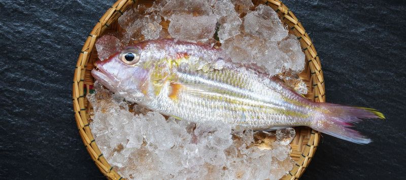 Frozen texture or ice crystals in fish