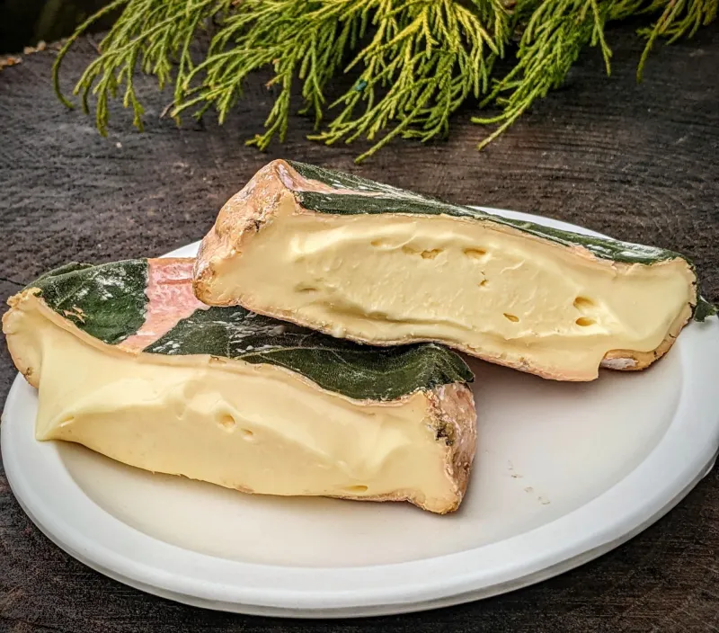 Cheese (everyday cheese)