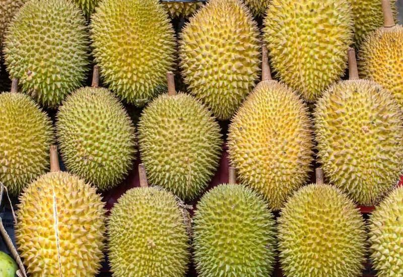 The smell clings to everything