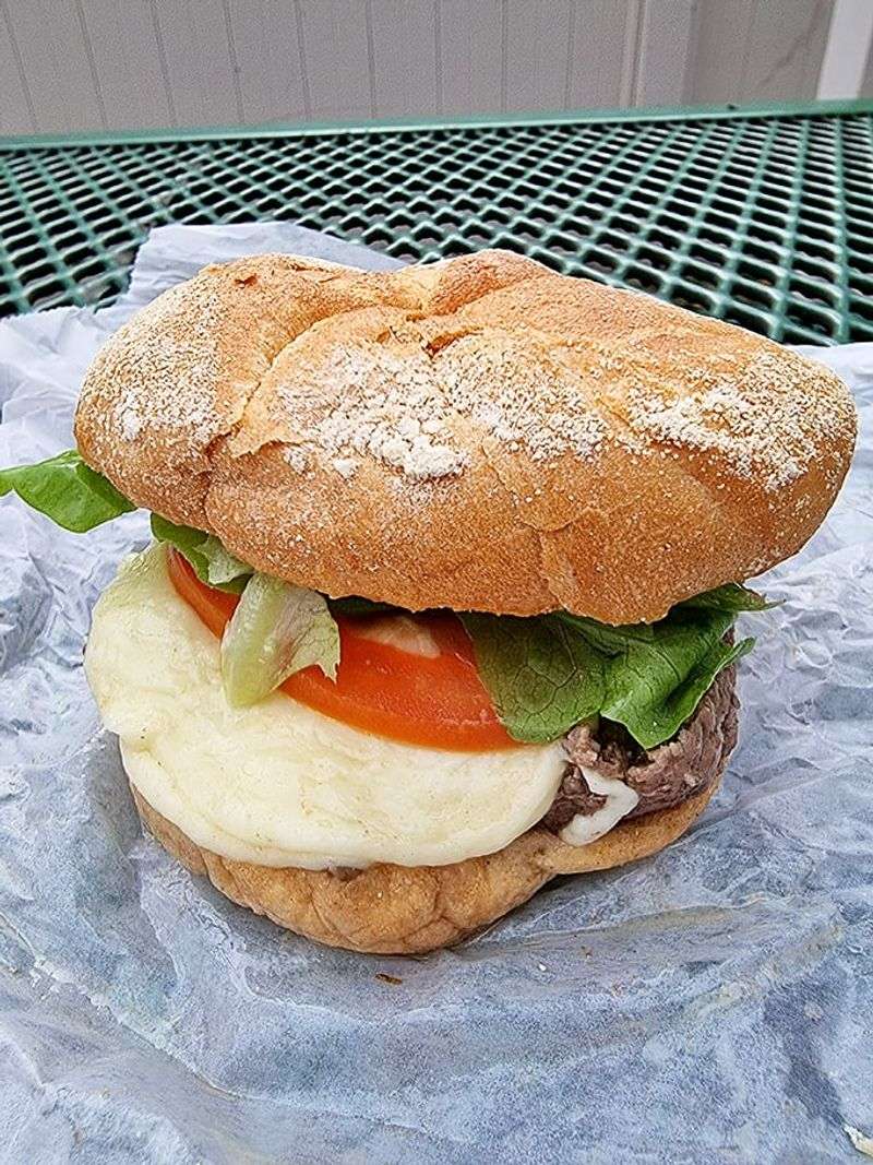 Connecticut - Steamed Cheeseburger Icon