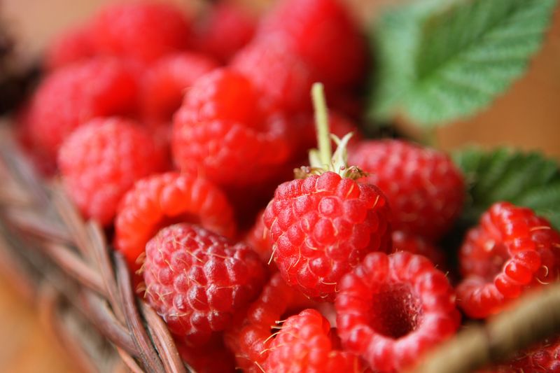 Raspberries