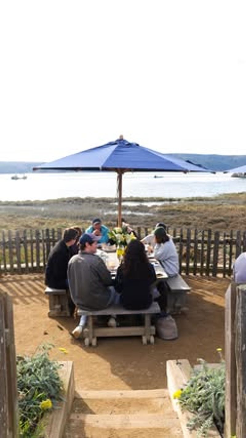 Hog Island Oyster Co. (Marshall Farm & Oyster Bar) — Tomales Bay