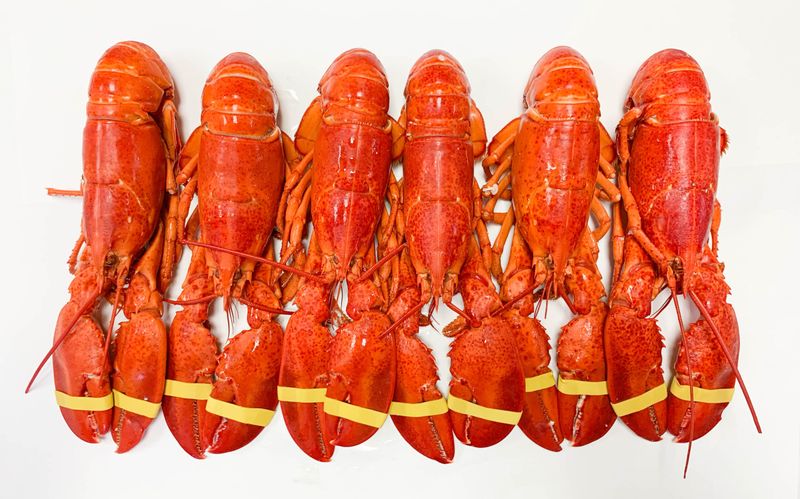 Choosing old pre-cooked lobster