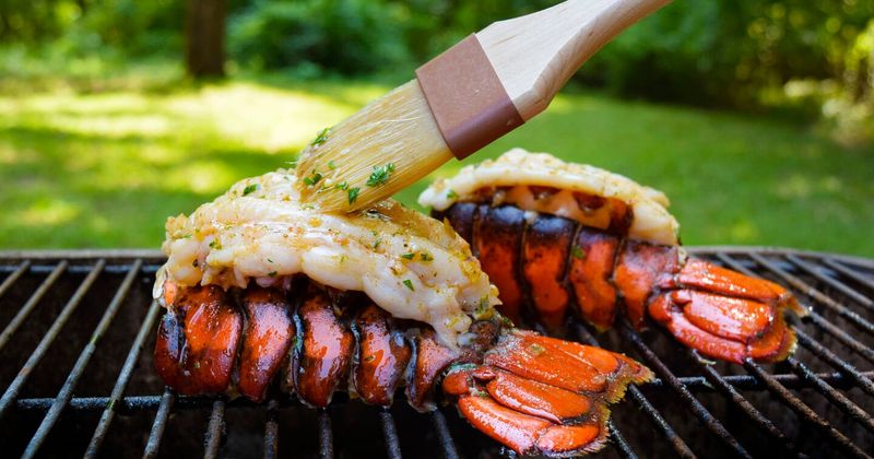 California spiny lobster