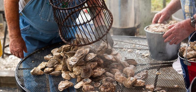 Driftwood Oyster Fry