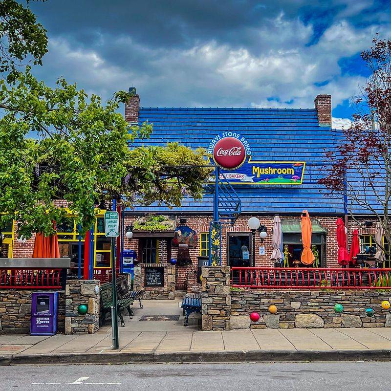 North Carolina - Mellow Mushroom, Asheville