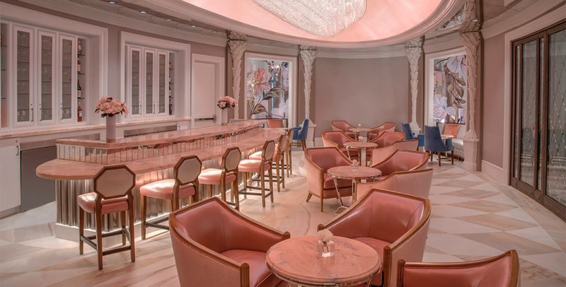 Camellias (South Carolina)