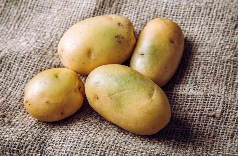 Potatoes (Green or Sprouted)