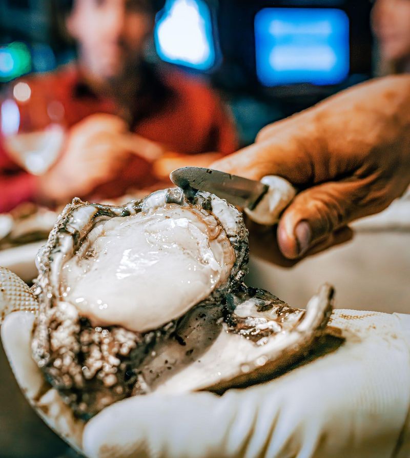 Hurricane Alley Oyster Rodeo