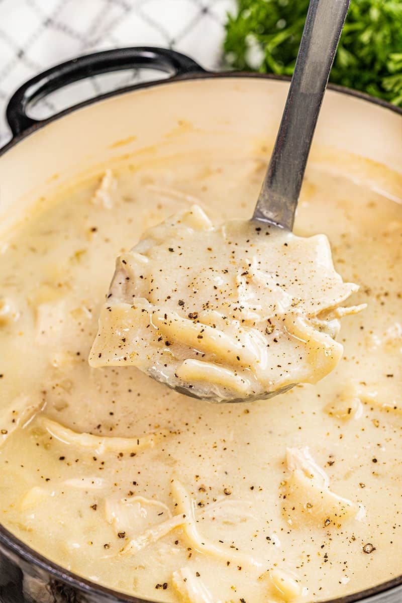 Chicken And Dumplings (Southern Style)