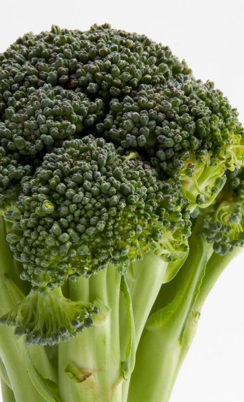 Broccoli