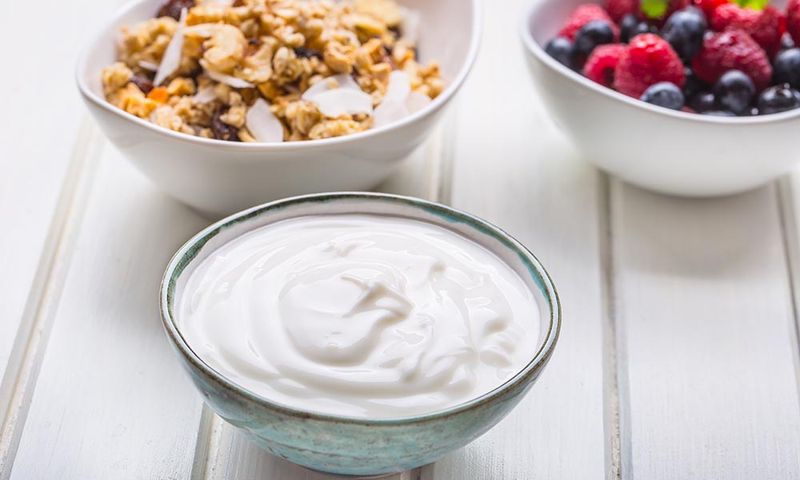 Plain Greek Yogurt With Added Lactase (Easier Digestion)