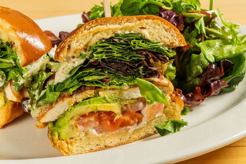 Grilled Chicken & Avocado Sandwich