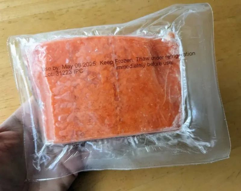 Frozen Salmon Fillets