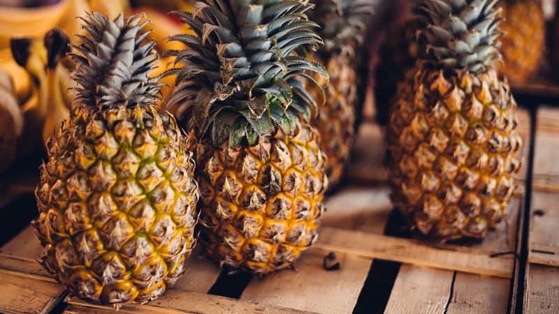 Consider Season And Origin