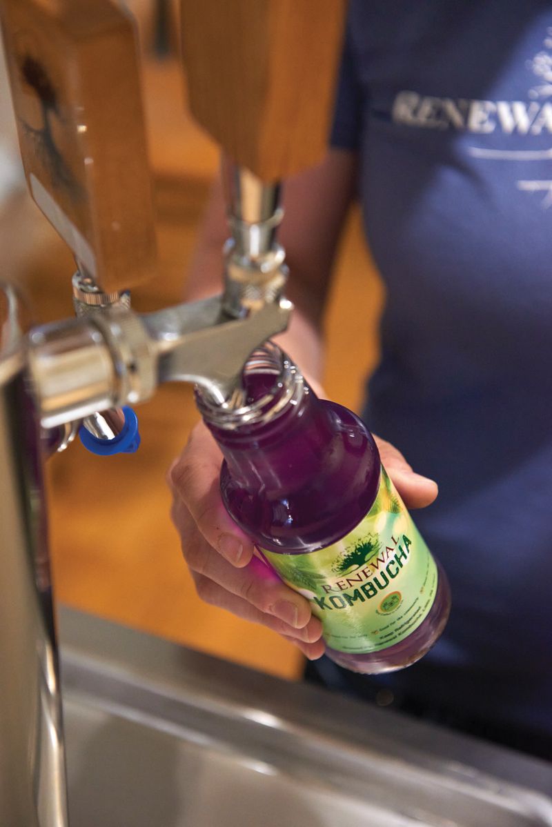 Kombucha On Tap