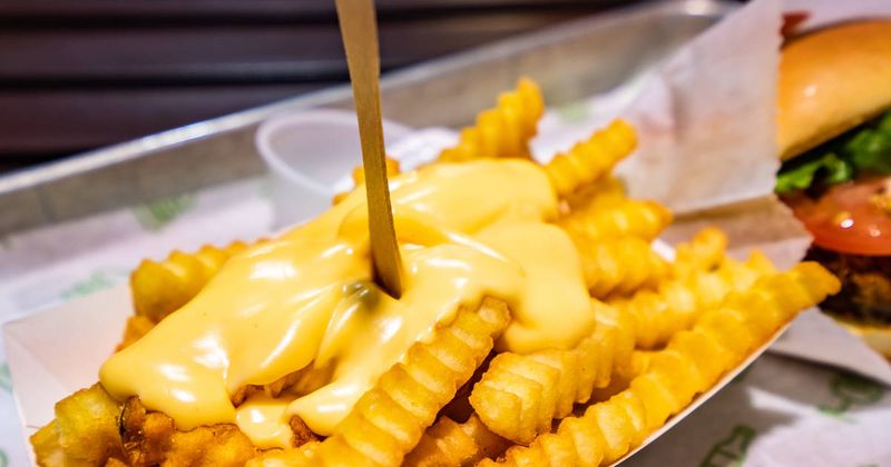 Shake Shack Crinkle Cut Fries with Cheese Sauce