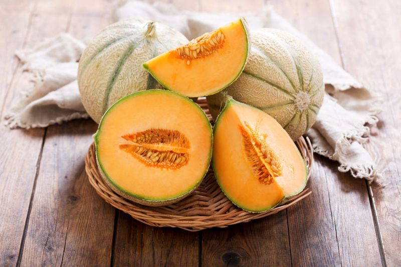 Cantaloupe 