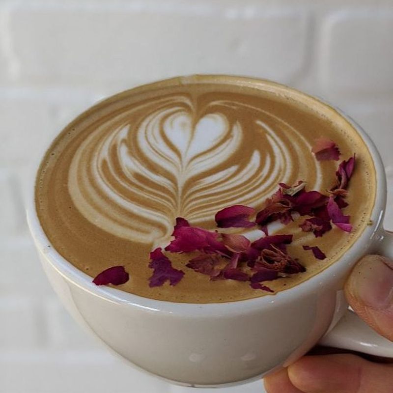 Oat Milk Lattes