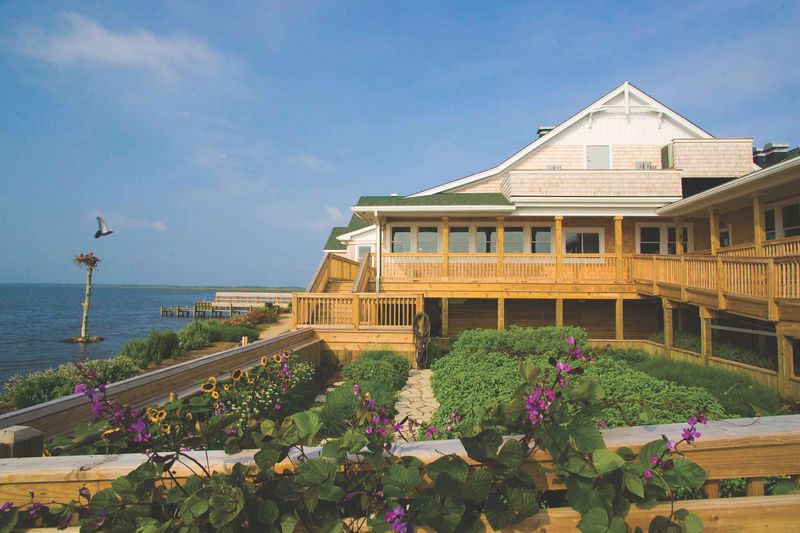 Basnight's Lone Cedar Cafe